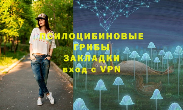 крисы Арсеньев