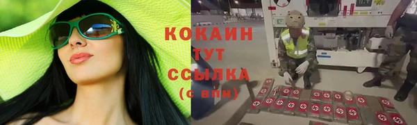 СК Аркадак