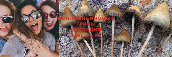 крисы Арсеньев