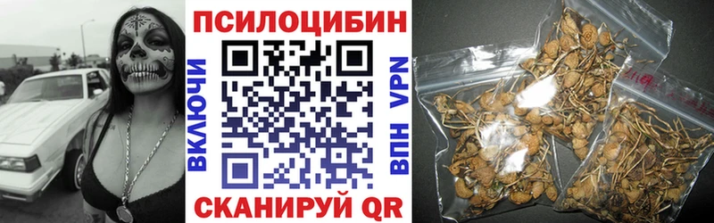 Галлюциногенные грибы прущие грибы  купить наркоту  KRAKEN ТОР  Прохладный 